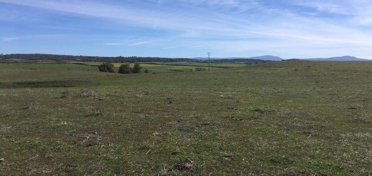 Abdul Latif Jameel Energy cierra el acuerdo de financiación de la Granja solar La Solanilla, en Trujillo, España