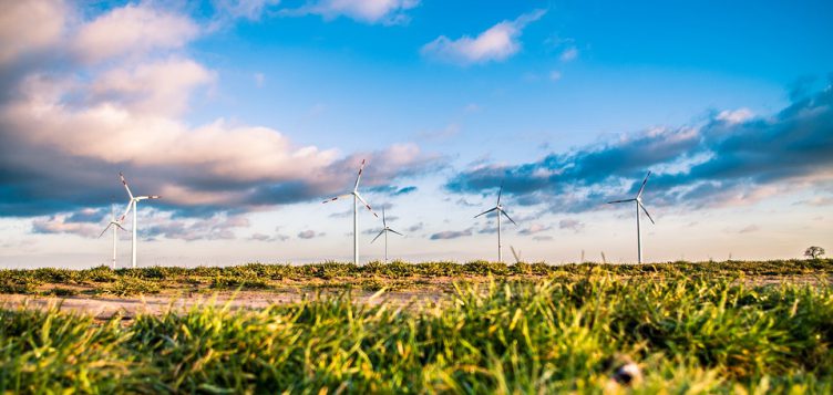 Tunisie : de nouvelles opportunités pour les investisseurs de l’énergie éolienne