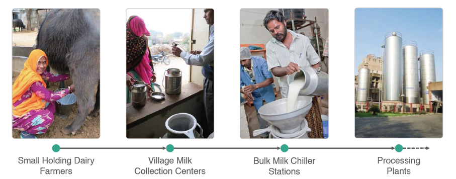 Milk Supply Chain in India