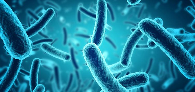 Combatir la resistencia antimicrobiana