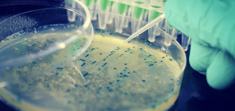 J-Clinic découvre un nouvel antibiotique puissant reposant sur la technologie de l’IA